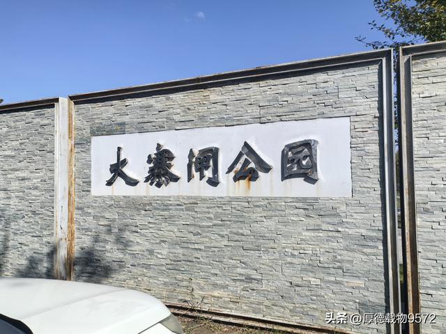 乌鲁木齐一个没有被宣传的公园，它会是下一个网红打卡地吗？