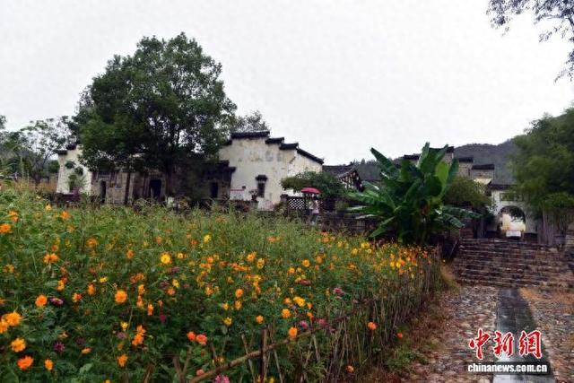 福建松溪梅口埠：千年古埠焕发文旅新活力
