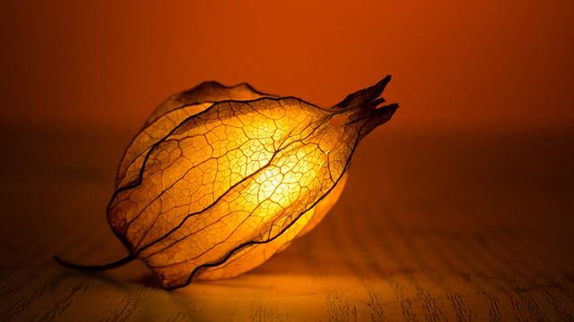 亥猪，人算不如天算，12月20号最大的坎，可能不是事，而是人！