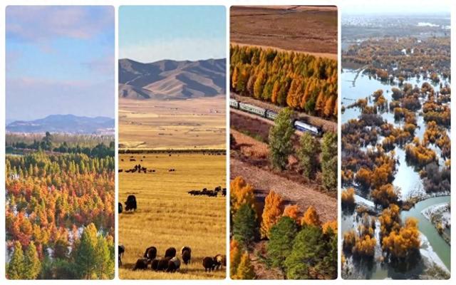 【新华社】文化中国行｜赏秋正当时！“文旅+”新业态为秋日经济注入新活力