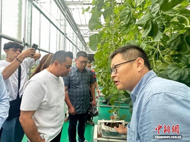 巴西市长“浙江行”：以科技合作为壤 共育未来的“种子”