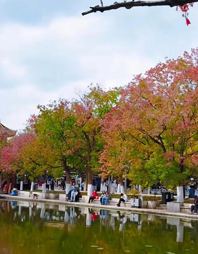 11月第一个周末，雨中翠湖公园