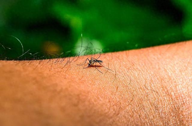 多地出现病例，一地确诊超4000例！紧急提醒→