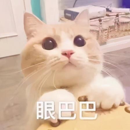 和平精英突变新版本下载（和平精英1118版本更新）