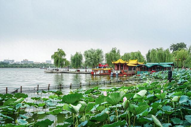 山东文旅观察 | 暑期文旅跻身全国前十，济南做对了什么？