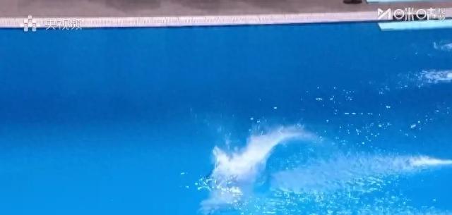 全运会跳水陈芋汐出现失误,仍第一名晋级半决赛