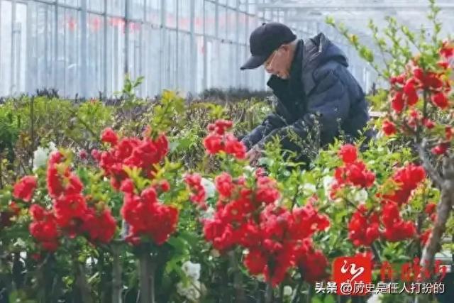 全方位介绍临沂河东区仅剩的六个镇街（6）:美到窒息的汤河镇