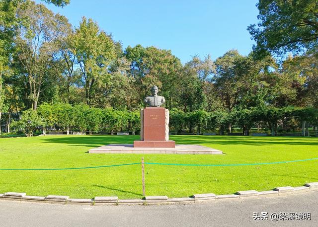 “中山秋韵，菊映盛世”，赏菊南京中山植物园（上）