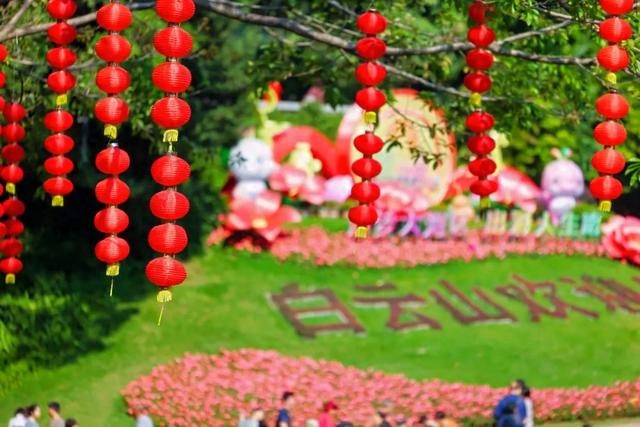 广州白云山见证国风婚礼,汉服文化周“甜蜜”出圈