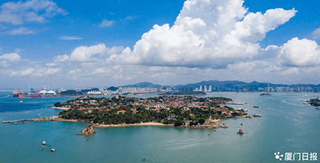 为什么是厦门？