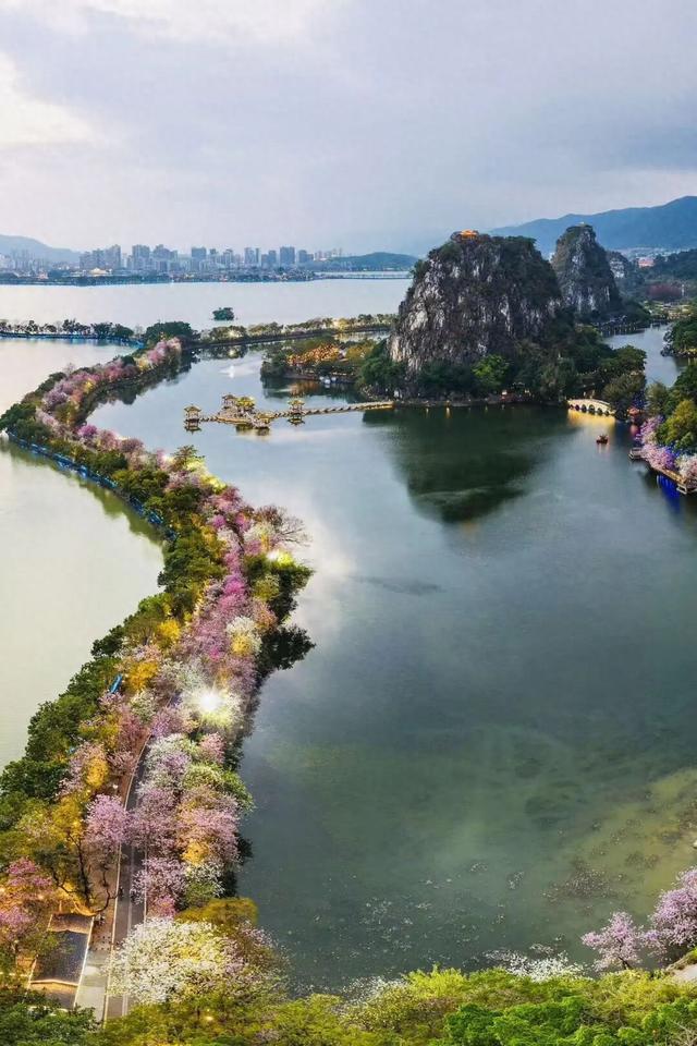 最新优惠！肇庆两大景区免票，面向此类人群→