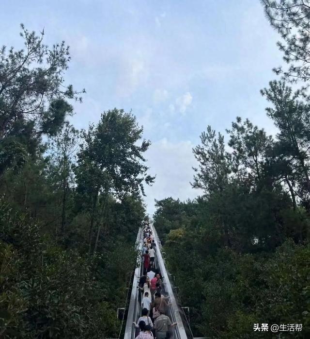 为什么“窝囊游”越来越流行？