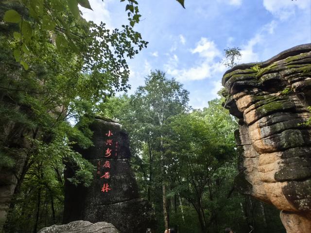 自驾游黑河 汤旺河国家公园可不只是个景区