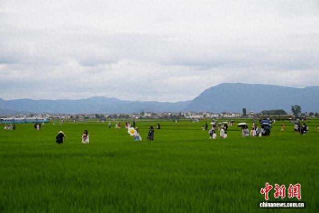 云南大理：暑期旅游持续火爆