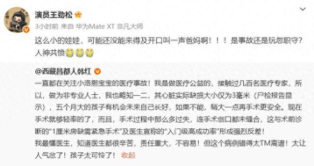 老戏骨王劲松发文称被小洛熙事件气疯了：这么小的娃娃还没来得及叫一声爸妈