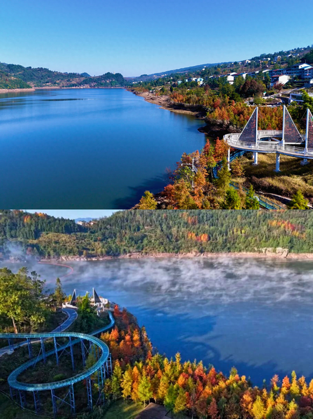 重庆的初冬浪漫，被这里的水杉林卷疯了！