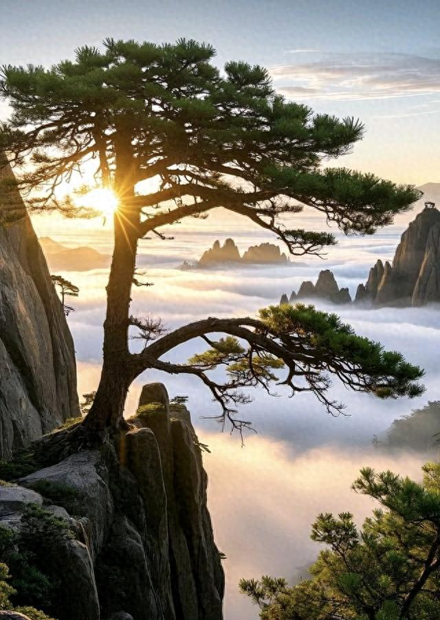 性与命和寿的关系：好命长寿的男人，往往身上有这七种特征