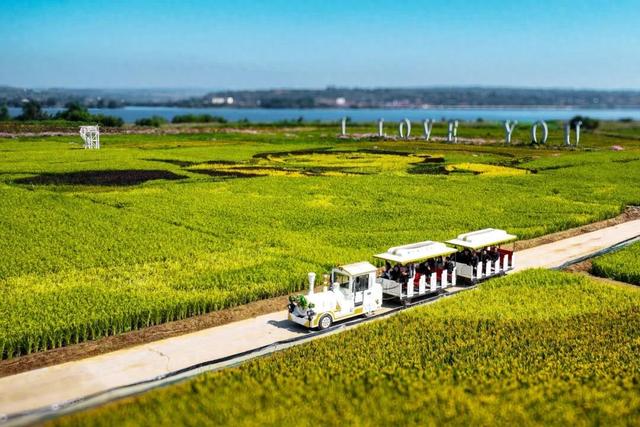 看襄垣如何用“哪吒IP+低空观光”实现田园“出圈”