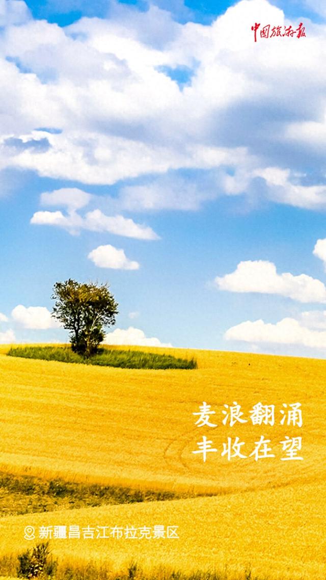 处暑丨撷一缕凉风 与万物共赴秋实