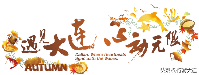 @所有球员、球迷，这份大体联专属游览攻略请收好！