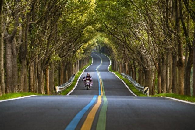 国内7个适合退休自驾省份，宜居宜驾全攻略！