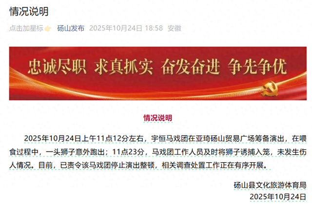 马戏团狮子意外跑出，砀山发布情况说明：未发生伤人情况，马戏团停止演出整顿