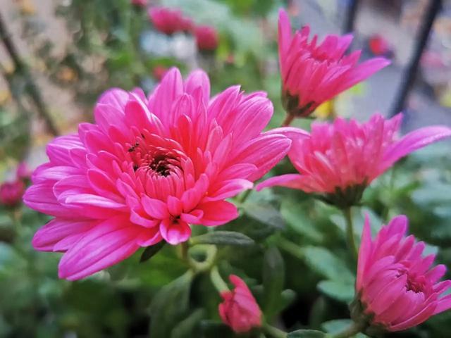 手机被1.4万张照片撑爆	，我才明白这个道理