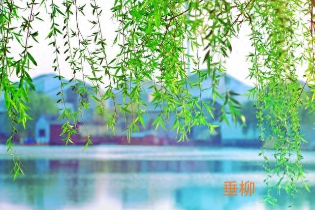 一年四季哪个季节的景色最美