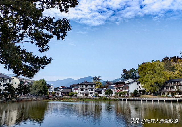 来海拔600米的杭州顶流古村吧，坐拥梯田、银杏、民宿，免费好玩