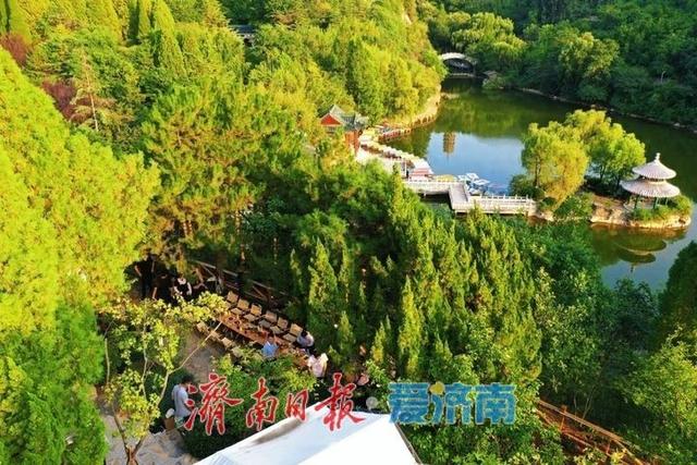 红叶谷夏日福利来袭：免票入园+帐篷露营+百合花海，还有勇敢少年夏令营等你来！