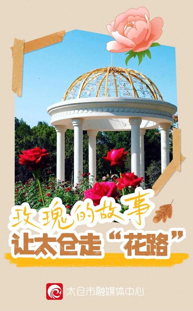 玫瑰的故事,让太仓走“花路”!