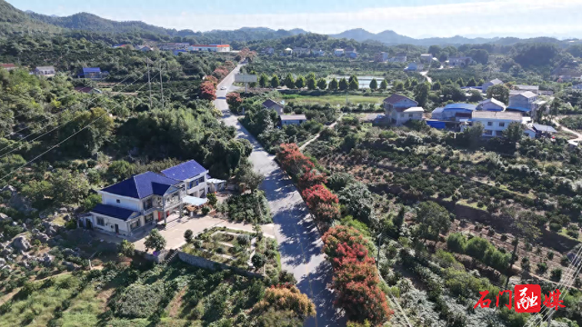 石门：栾树映秋 绘就城市诗意画卷