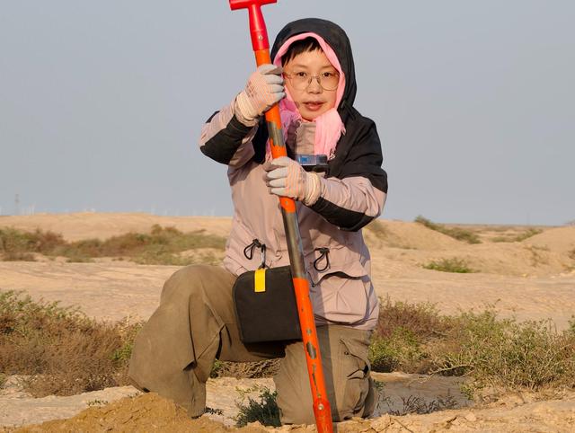 民勤种树 我该如何描述