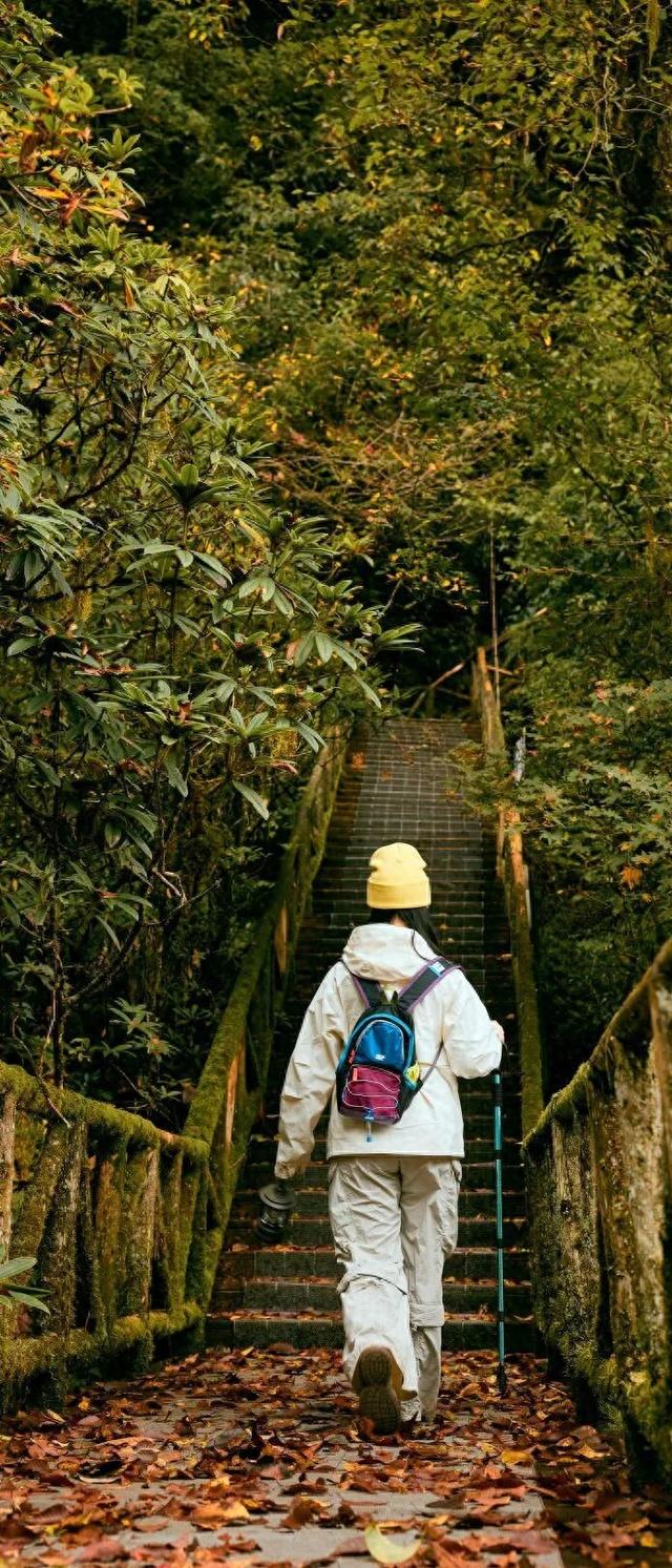 秋假第一站，就定这里！这片绝美彩林人少景美，速来赏秋！