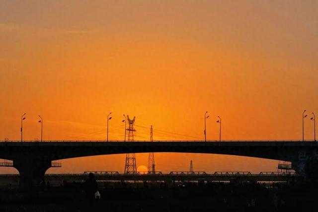 近500万！今年的黄河观凌季凭什么火出圈？