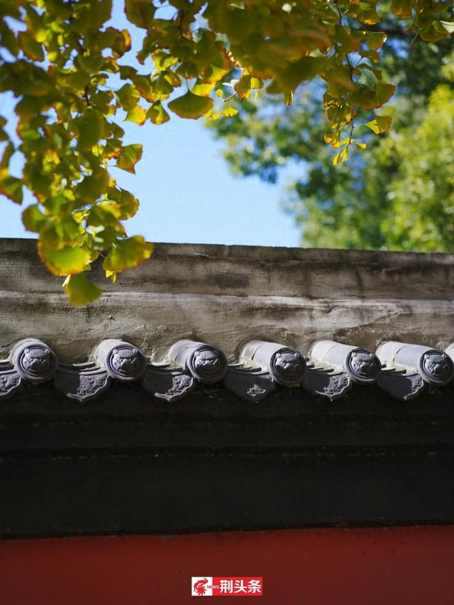 故宫同款秋色，惊艳了荆州