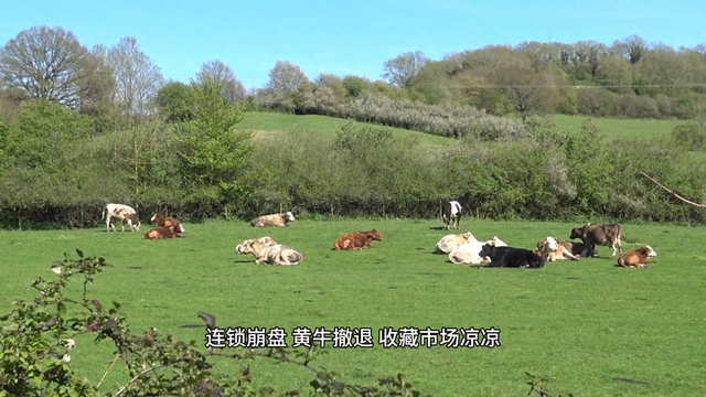 飞天茅台，典当价惊现三位数！黄牛哭晕，老板们坐不住了！