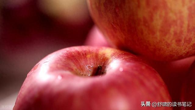 玫瑰山庄之谜攻略（美欧亨利苹果之谜暴风雪山庄惊情50年）