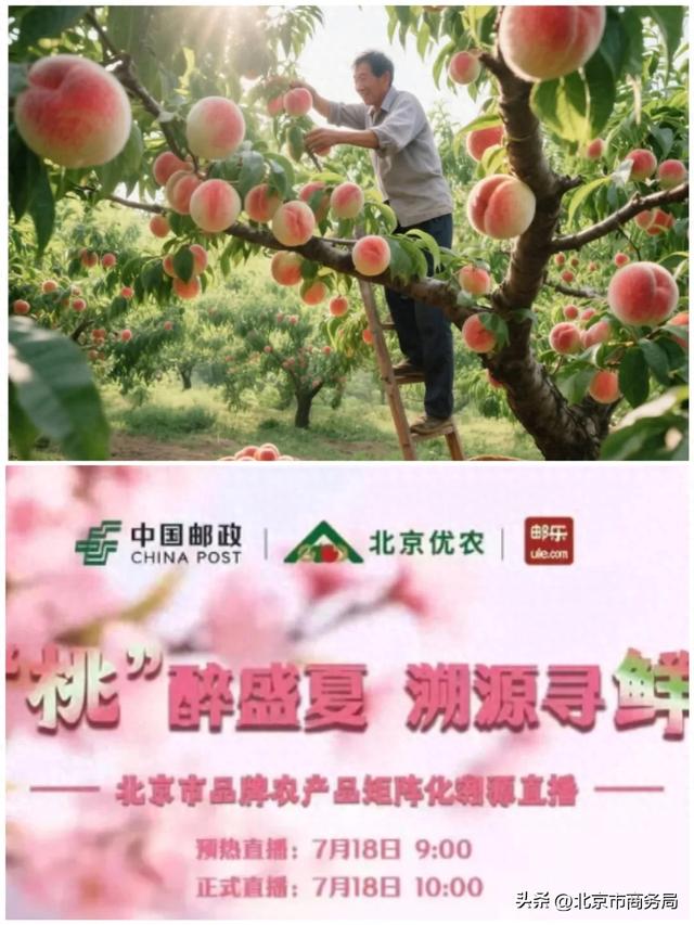 北京直播电商购物节好物推荐官集体“整活” 带火京城特色好物