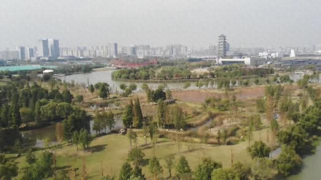 花叶染金秋 满城诗意美如画