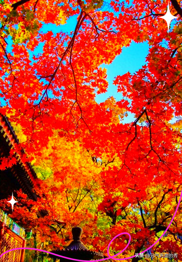 北京看红叶除了香山还有啥好地方？