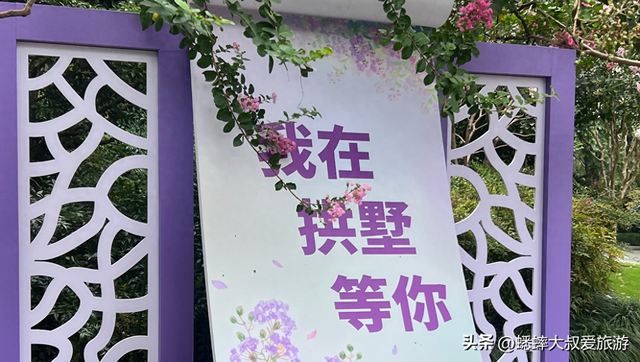 太神奇了，杭州第六届紫薇花展拉开帷幕，唯美秋色画卷，国庆来袭