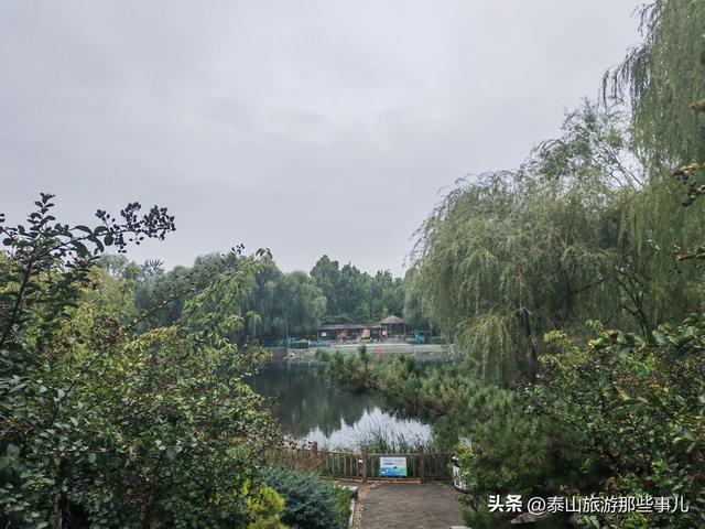 泰安：泰山下有一个免费的游园，2小时逛完，藏着泰城萌趣的一面