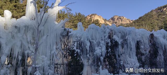 【乐游烟台】冬天的烟台太会了！招远罗山冰瀑美到像走进冰雪世界