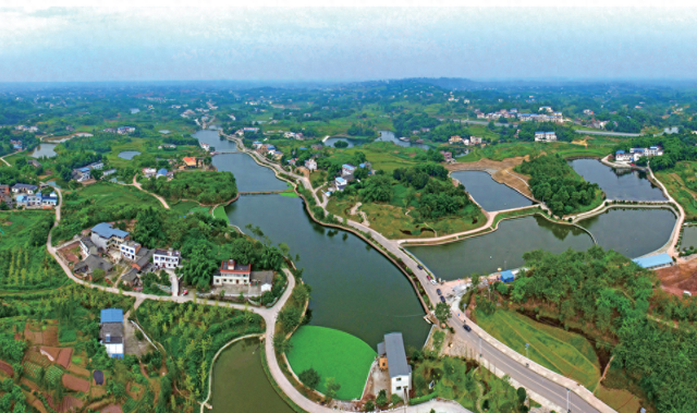 四川省龙马潭区历史沿革及行政区划