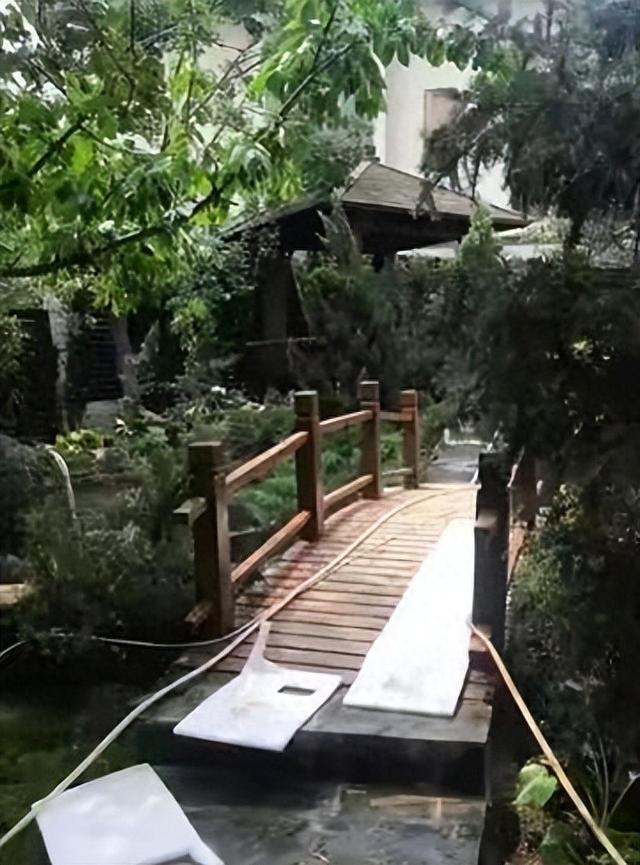 李湘在平台晒自家北京小院，大到让网友以为是景区，真的太有钱了