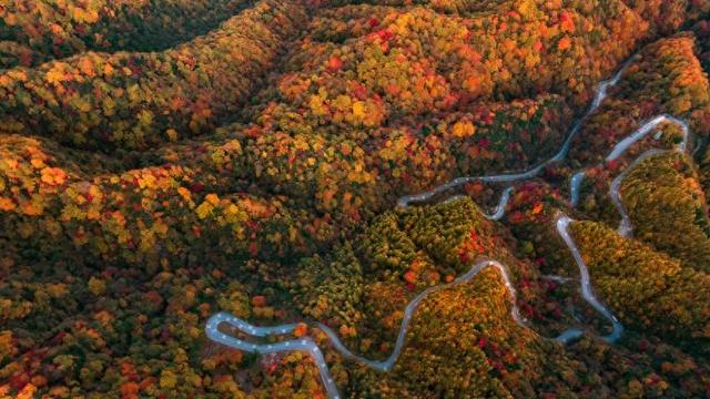 红叶舞动天地间，瑰宝灿烂光雾山