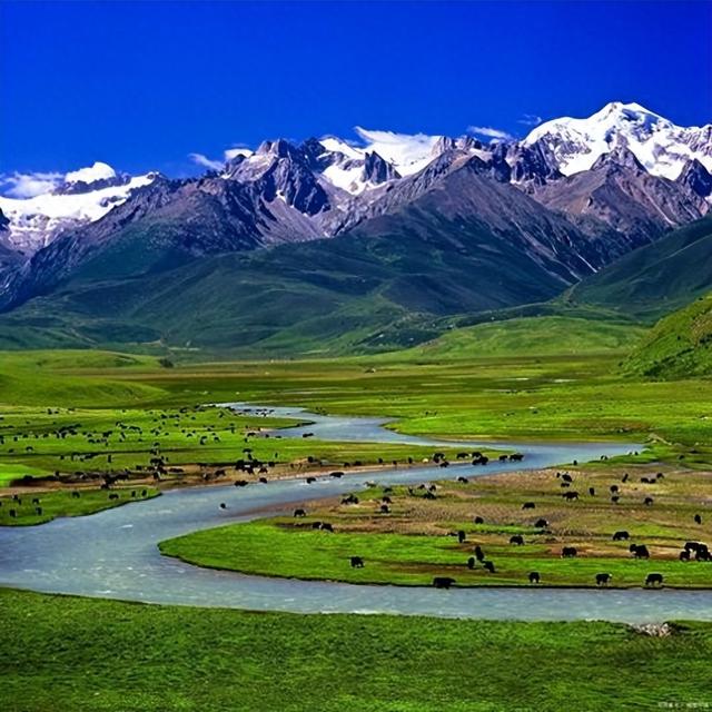 伊犁河谷有多特别？中国这边是绿洲，哈萨克斯坦那边是荒漠