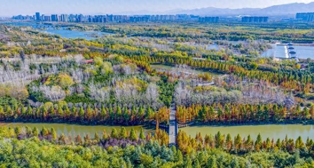 河南洛阳：伊河国家湿地公园冬景美如画