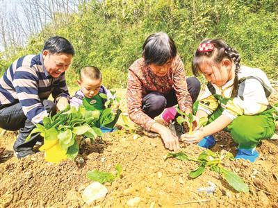 劳动感悟100字（感受农耕之乐 感悟劳动价值）